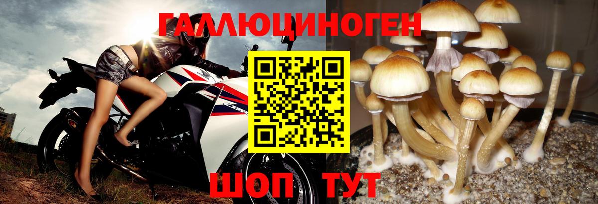 Галлюциногенные грибы ЛСД Амурск